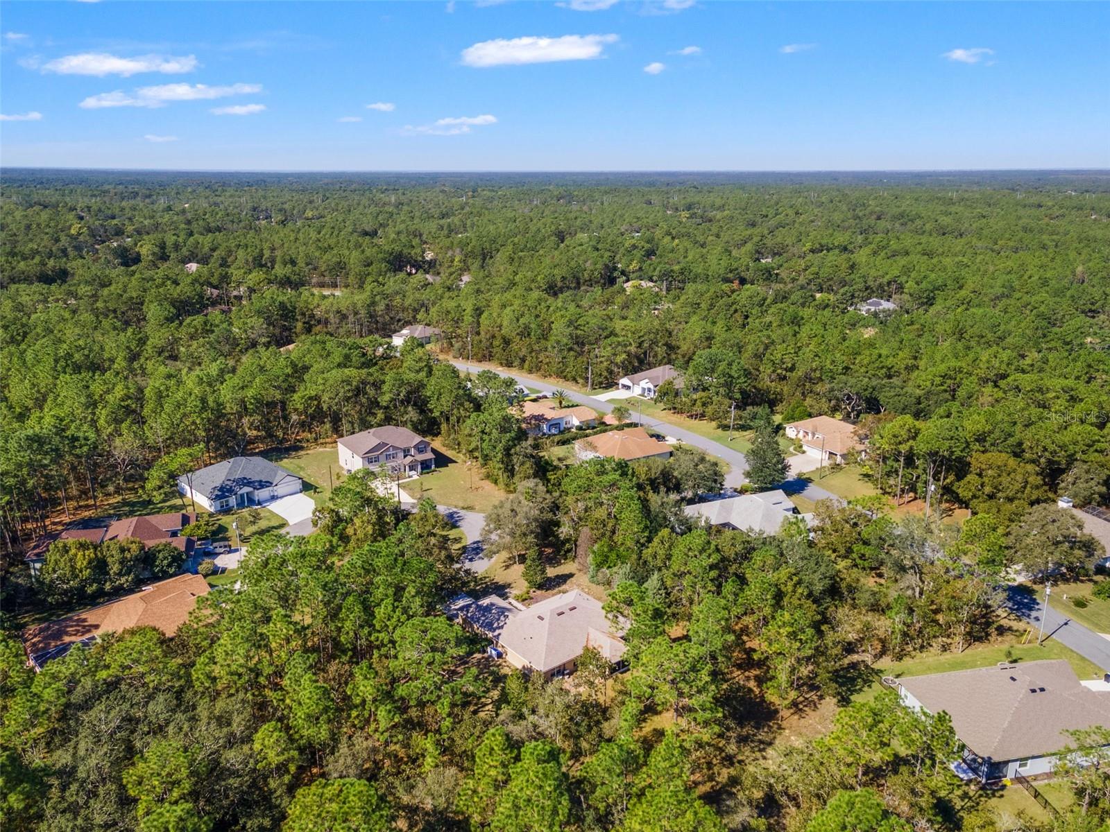 5 BOXLEAF, HOMOSASSA, FL — photo 50