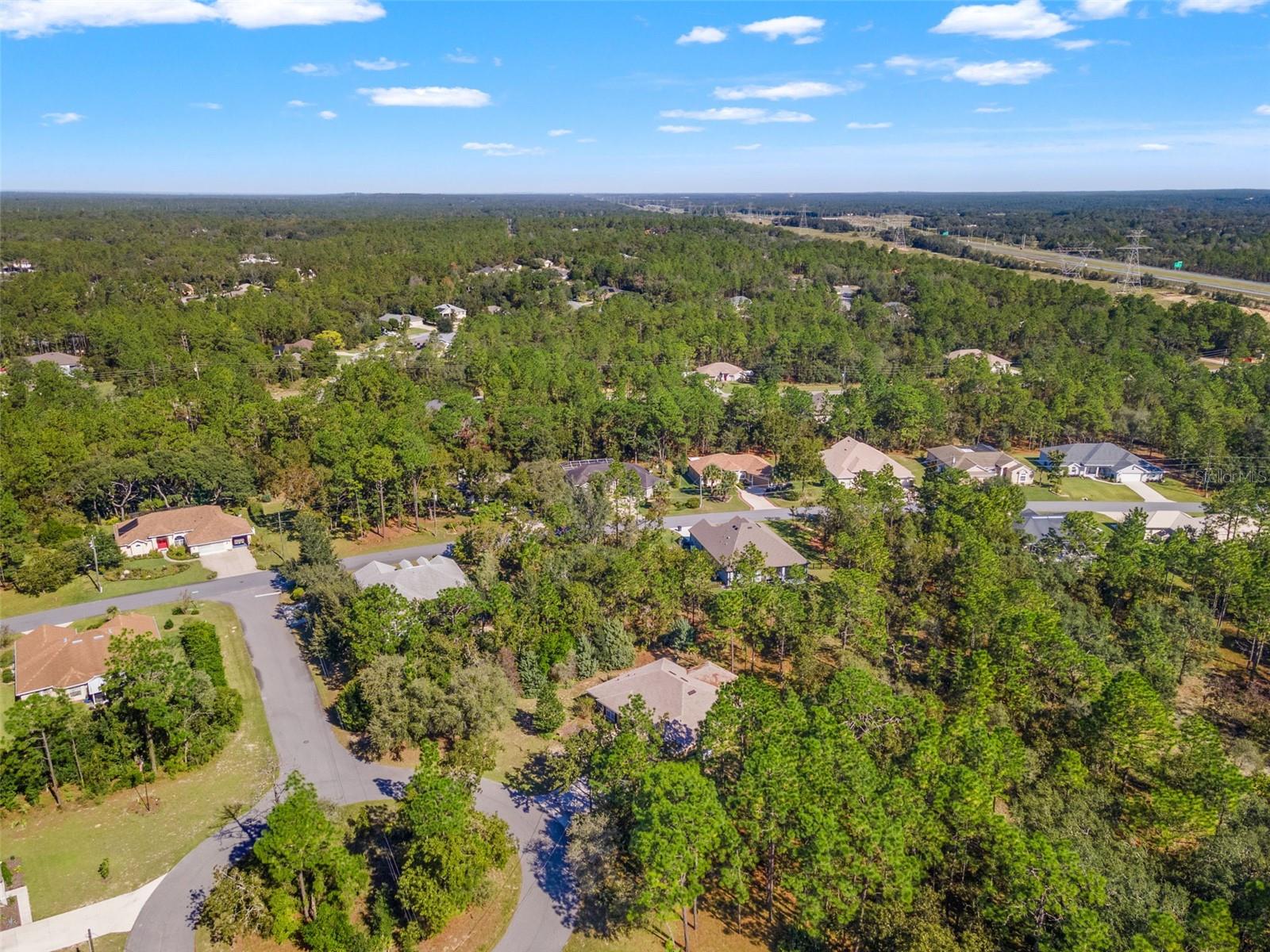 5 BOXLEAF, HOMOSASSA, FL — photo 51