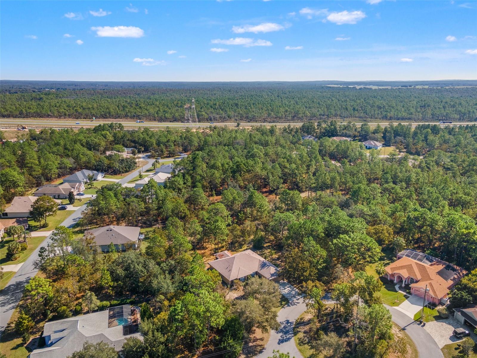 5 BOXLEAF, HOMOSASSA, FL — photo 53