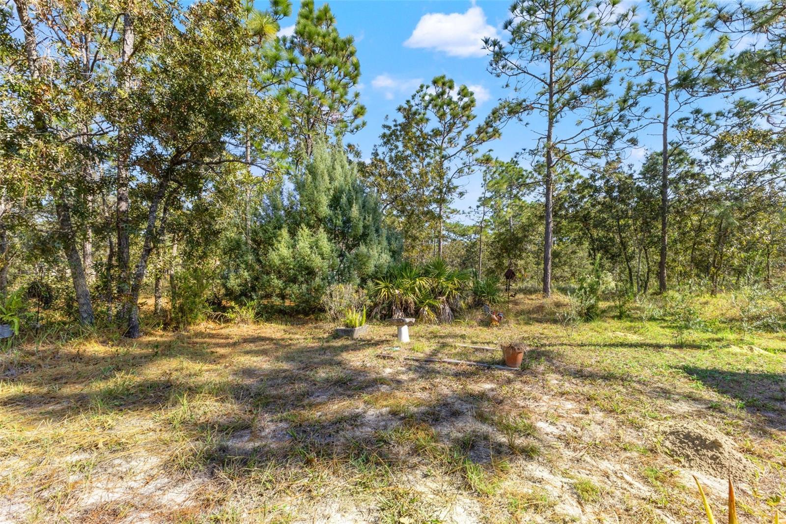5 BOXLEAF, HOMOSASSA, FL — photo 54