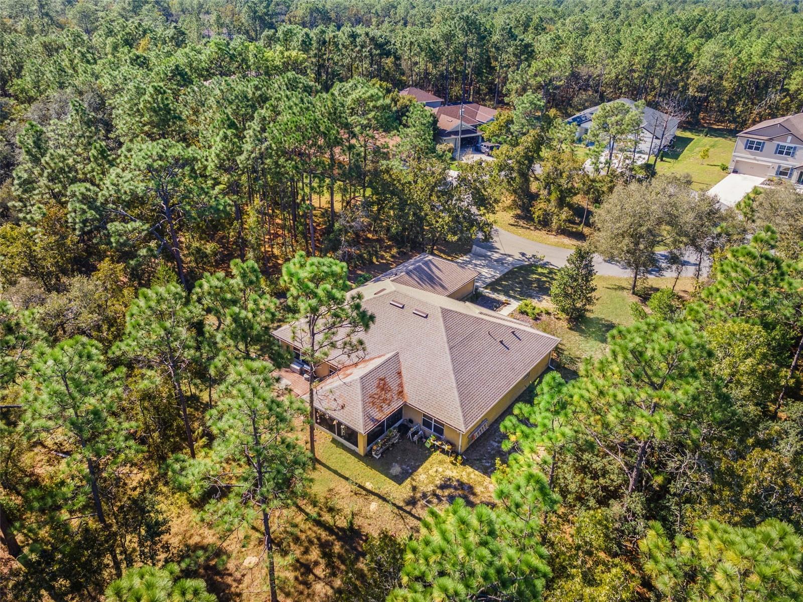 5 BOXLEAF, HOMOSASSA, FL — photo 56