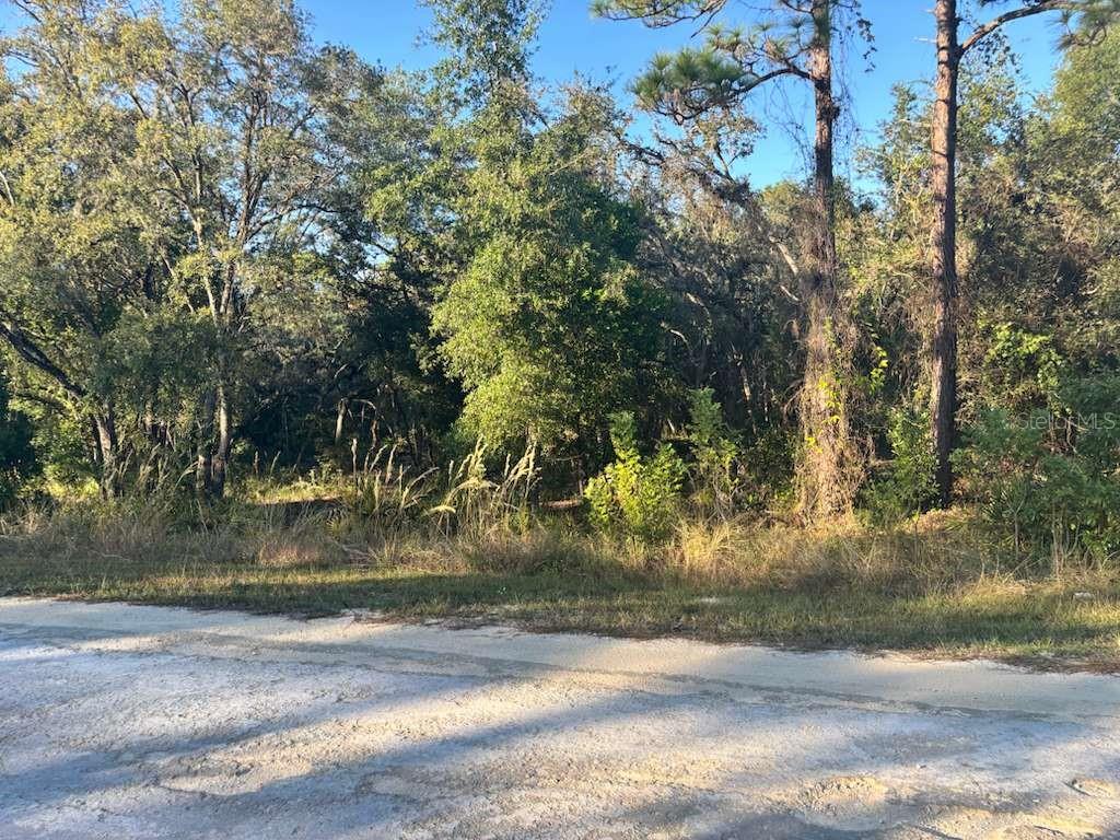 33193 EASTER DR, WEBSTER, FL