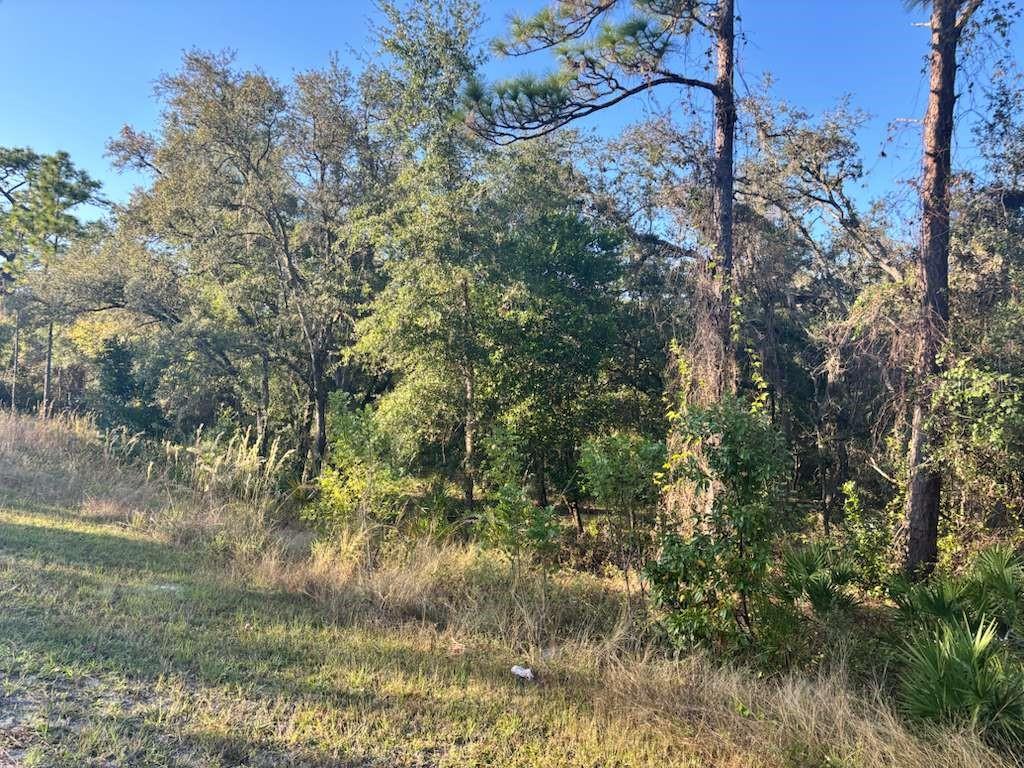 33193 EASTER DR, WEBSTER, FL — photo 2