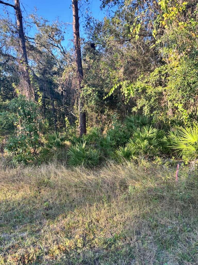 33193 EASTER DR, WEBSTER, FL — photo 3