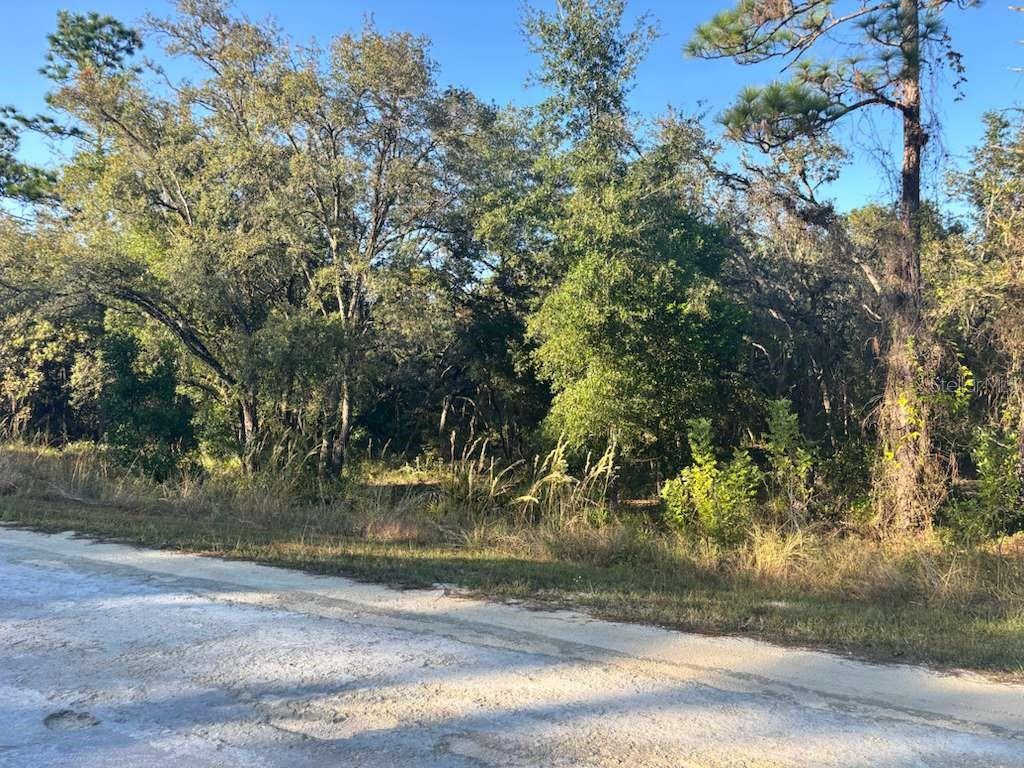 33193 EASTER DR, WEBSTER, FL — photo 6