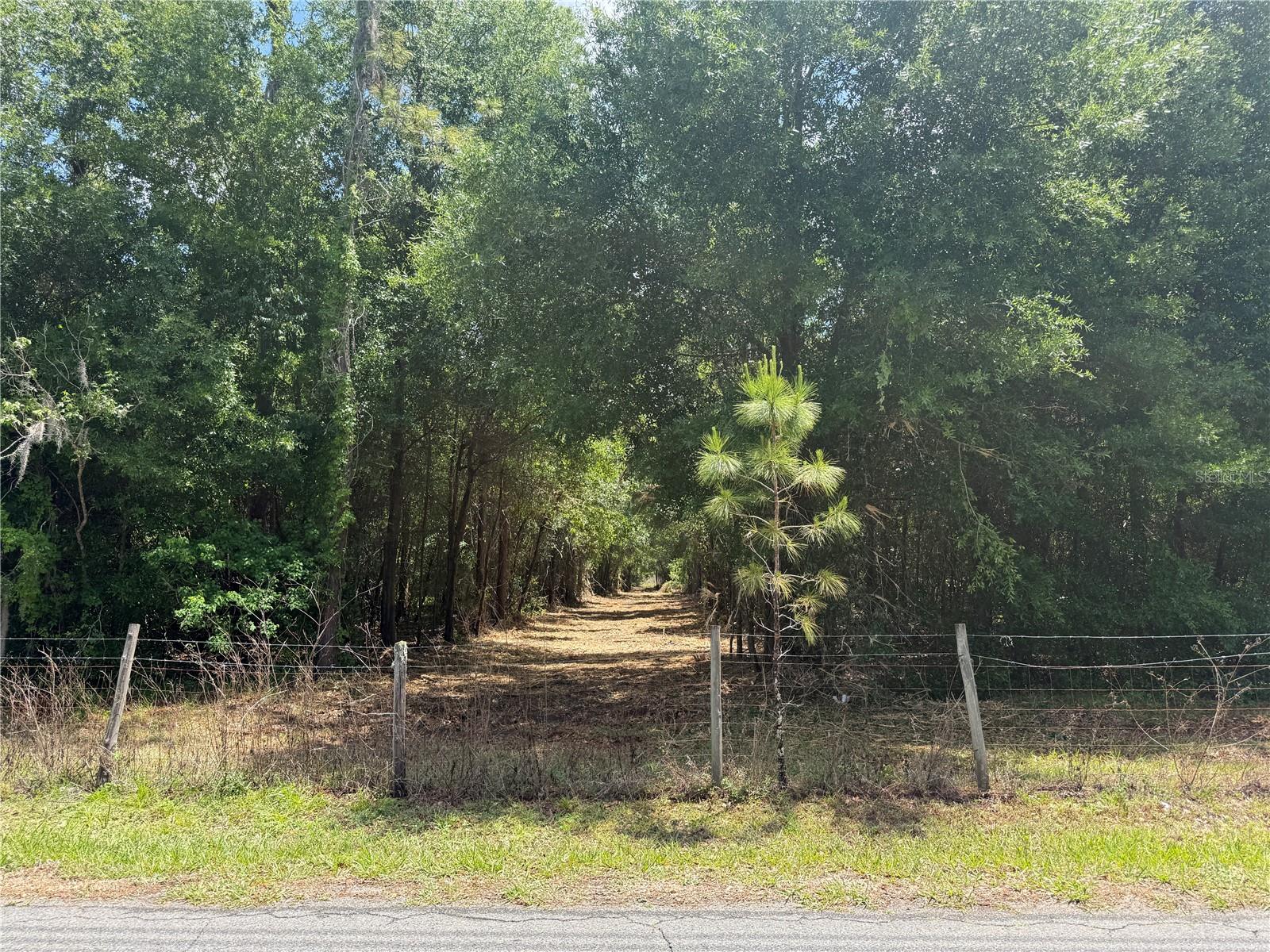 32742 WHITNEY RD, LEESBURG, FL — photo 7