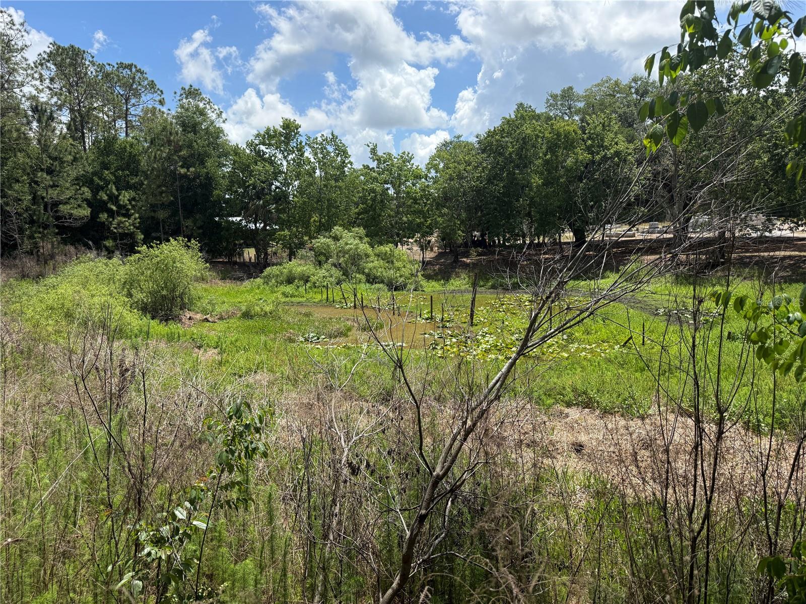 32742 WHITNEY RD, LEESBURG, FL — photo 14