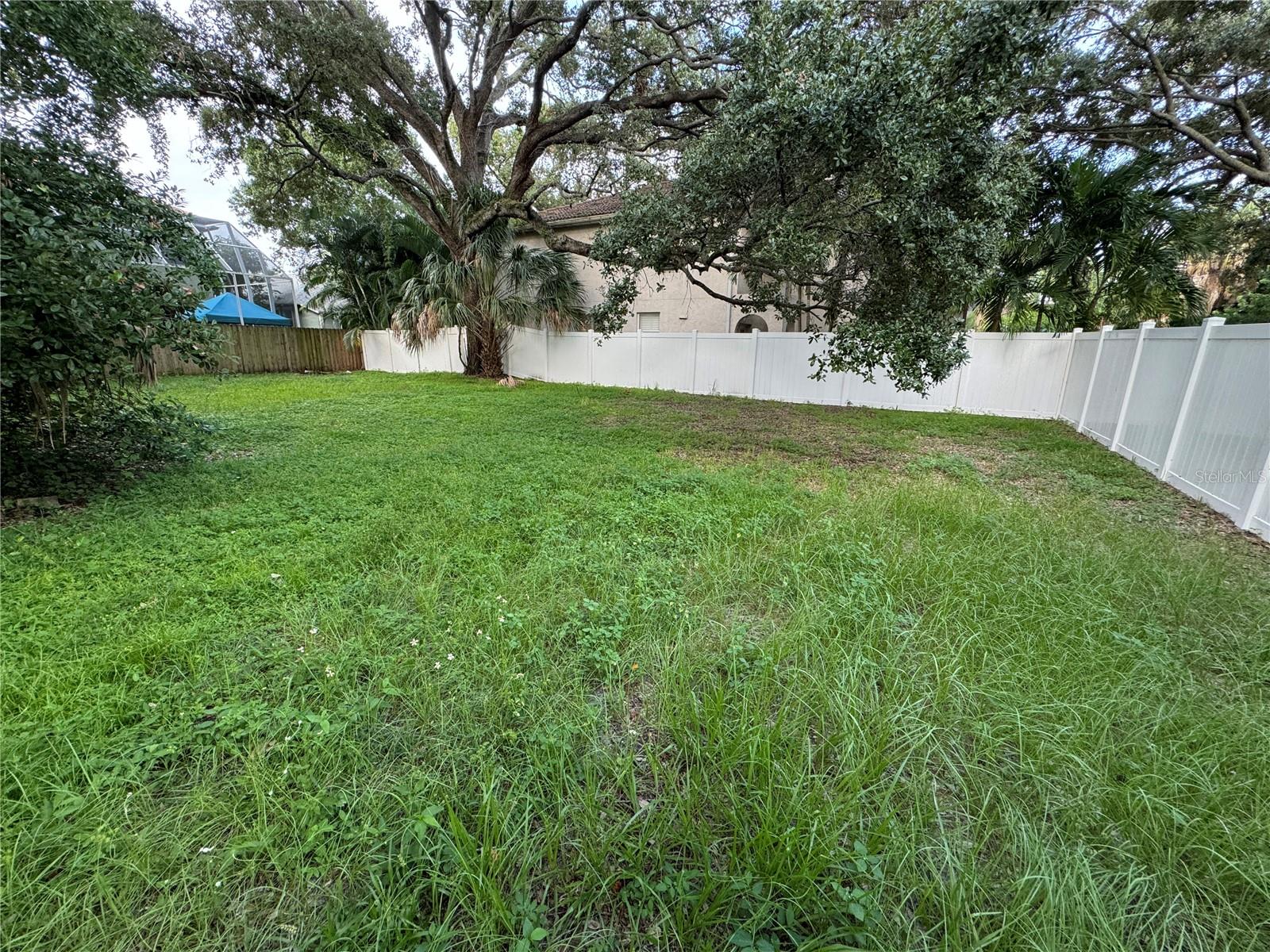 3115 W SAN PEDRO ST, TAMPA, FL