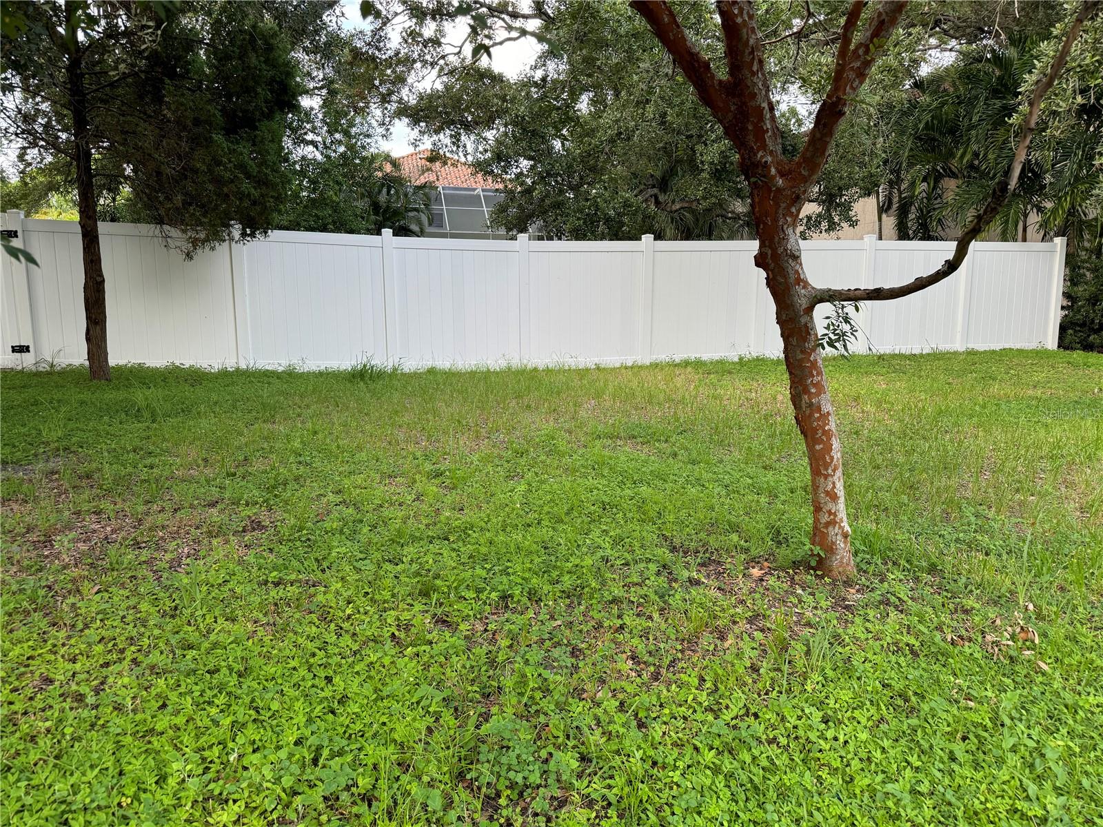3115 W SAN PEDRO ST, TAMPA, FL — photo 3