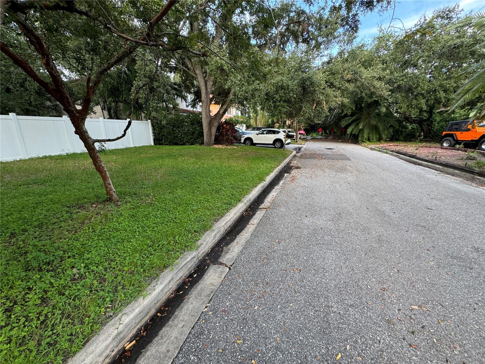 3115 W SAN PEDRO ST, TAMPA, FL — photo 4