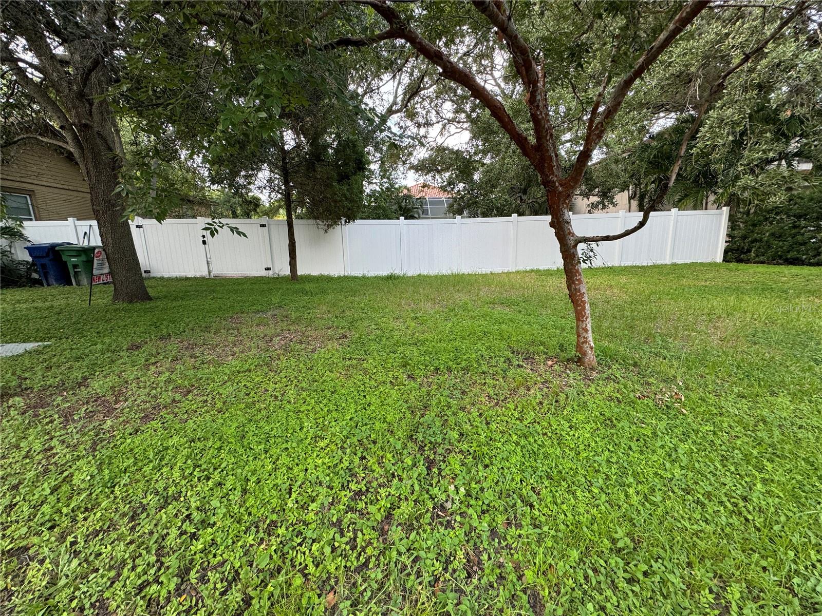 3115 W SAN PEDRO ST, TAMPA, FL — photo 5