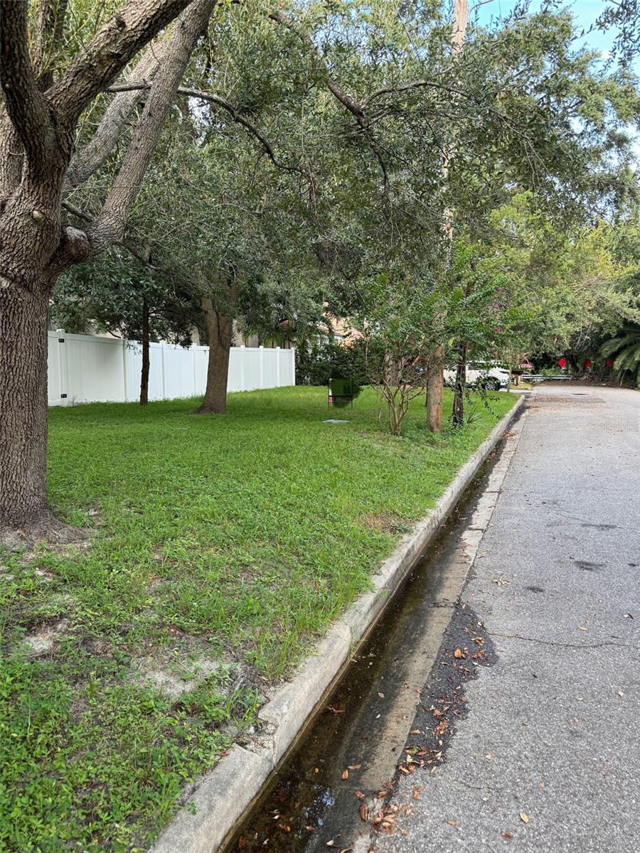 3115 W SAN PEDRO ST, TAMPA, FL — photo 6
