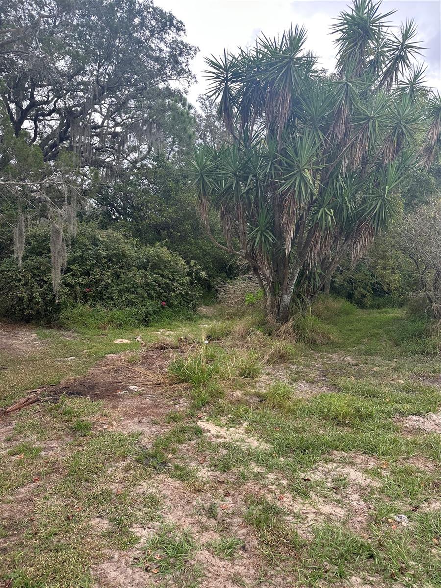 4998 LAKE LOWERY RD, HAINES CITY, FL — photo 11