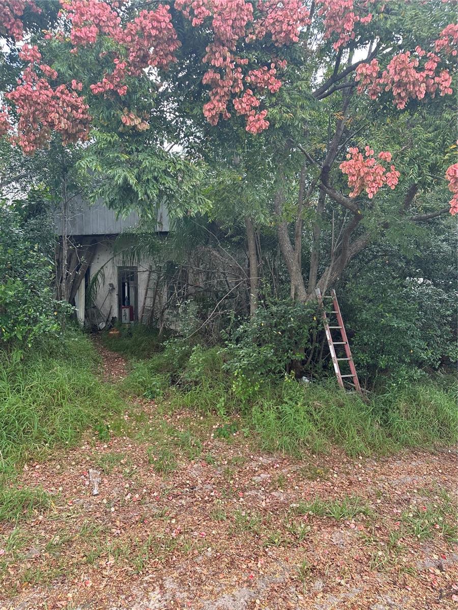 4998 LAKE LOWERY RD, HAINES CITY, FL — photo 13