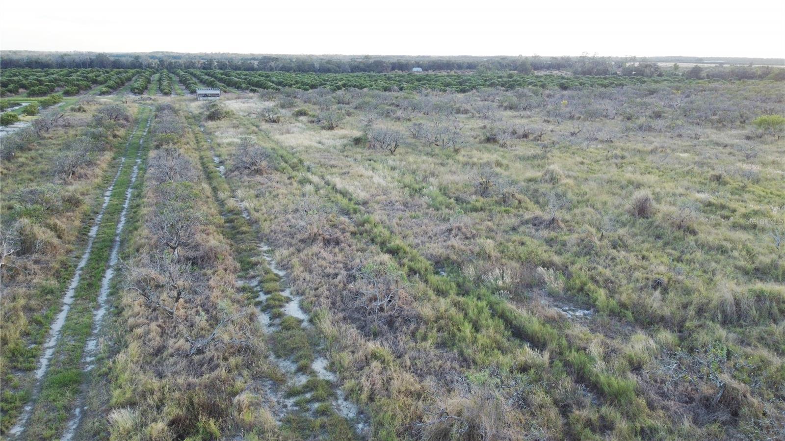 1895 OTTO POLK RD, FROSTPROOF, FL — photo 5