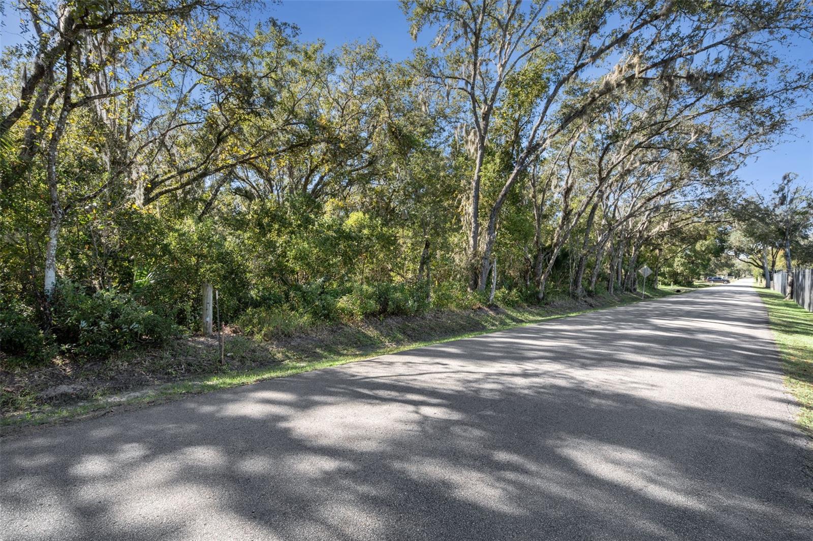 FAYE ST, APOPKA, FL — photo 6