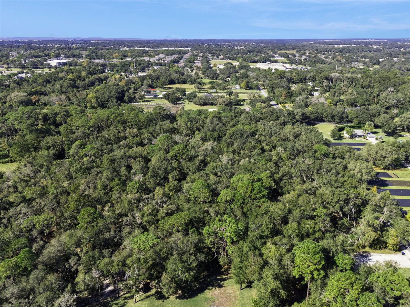 FAYE ST, APOPKA, FL — photo 9
