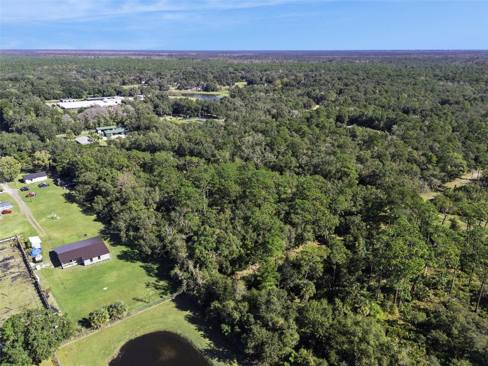 FAYE ST, APOPKA, FL — photo 10