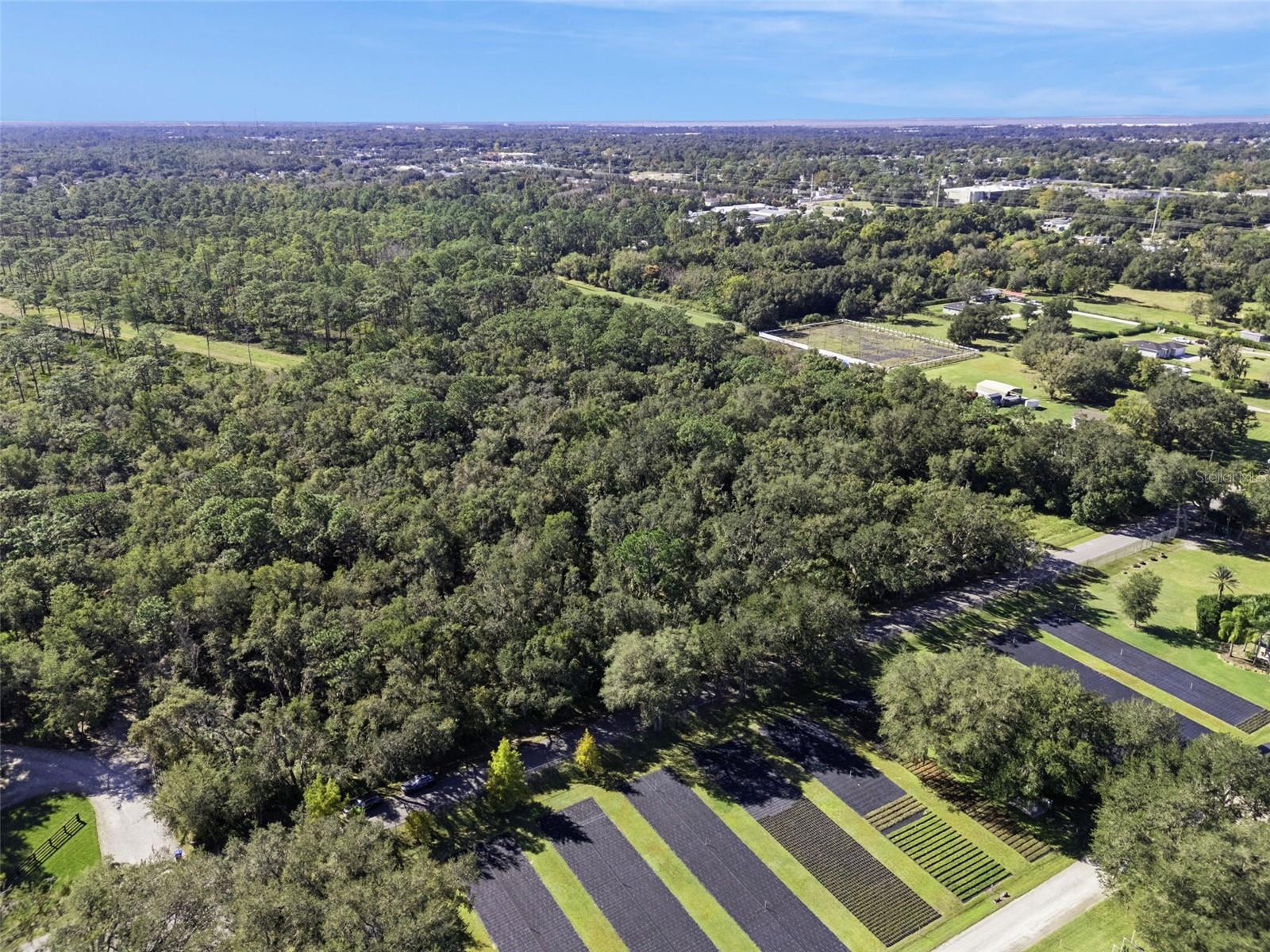 FAYE ST, APOPKA, FL — photo 11