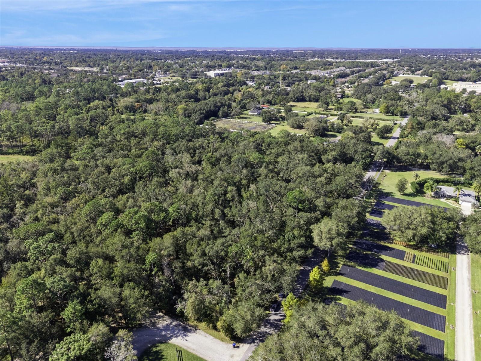 FAYE ST, APOPKA, FL — photo 12