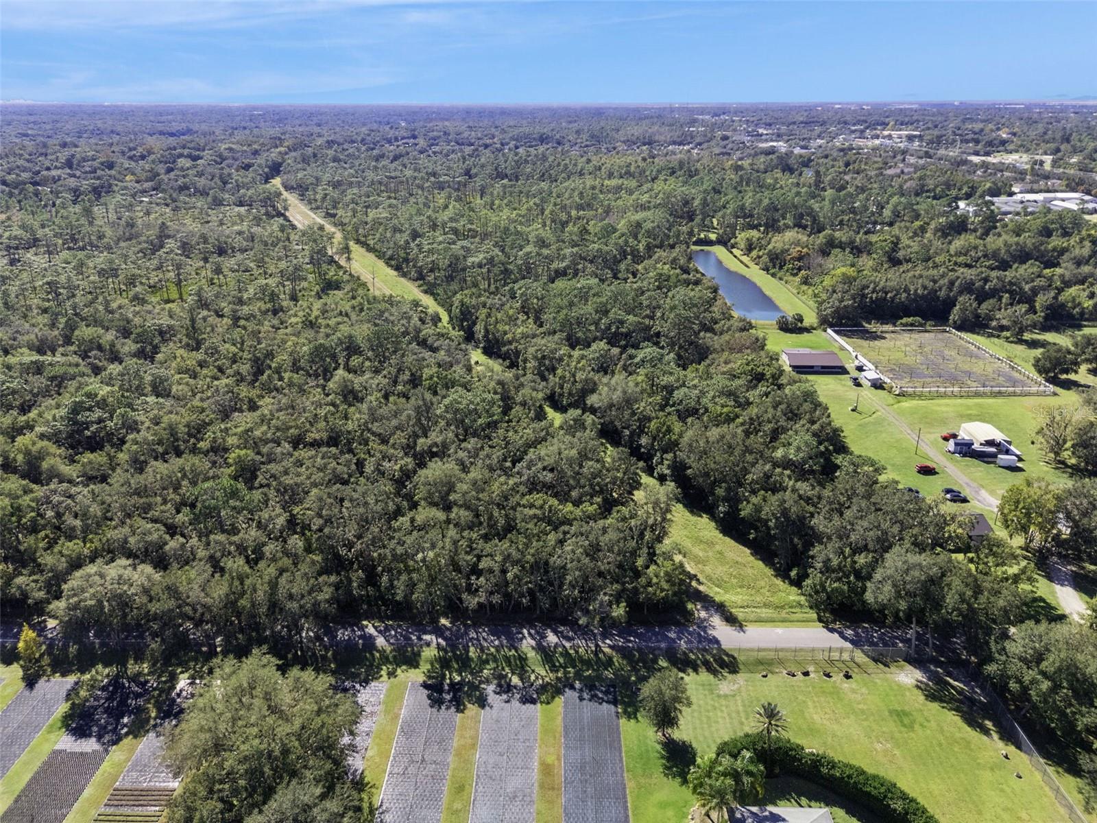 FAYE ST, APOPKA, FL — photo 14