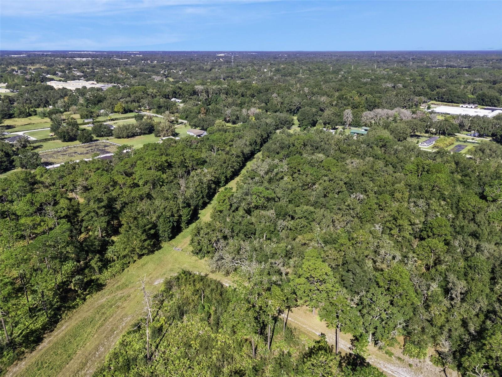 FAYE ST, APOPKA, FL — photo 15