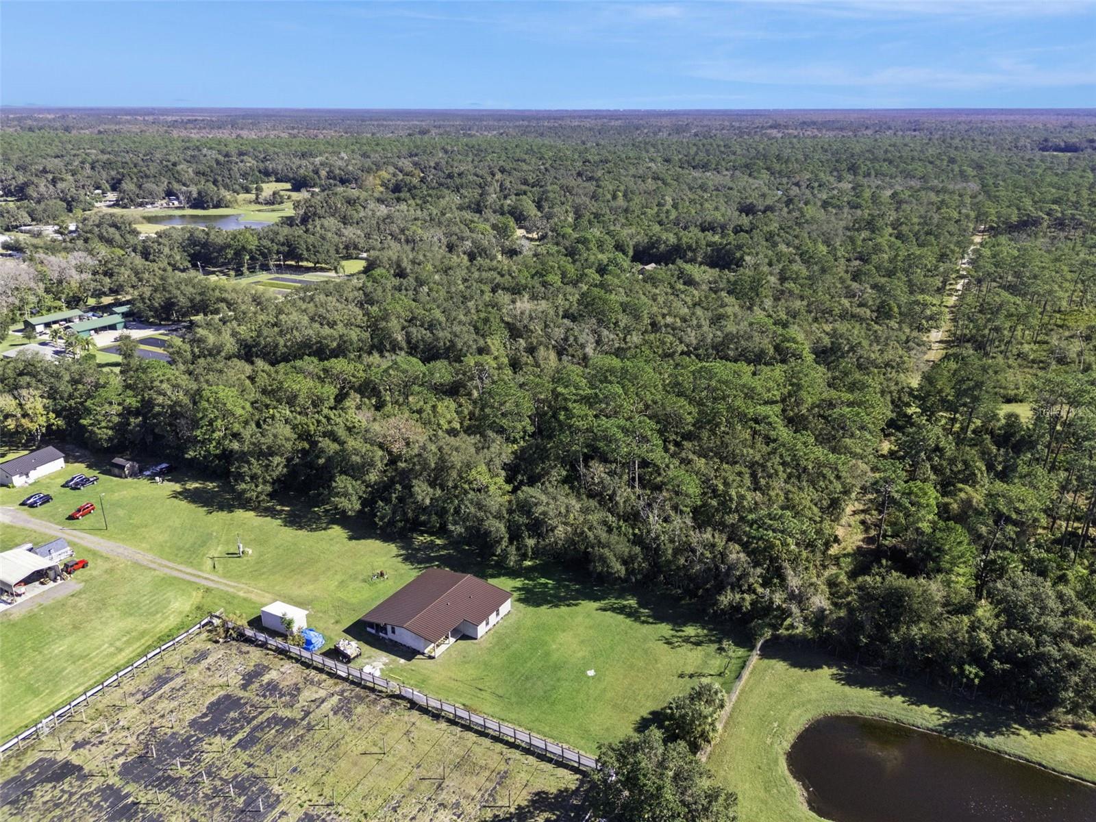 FAYE ST, APOPKA, FL — photo 18