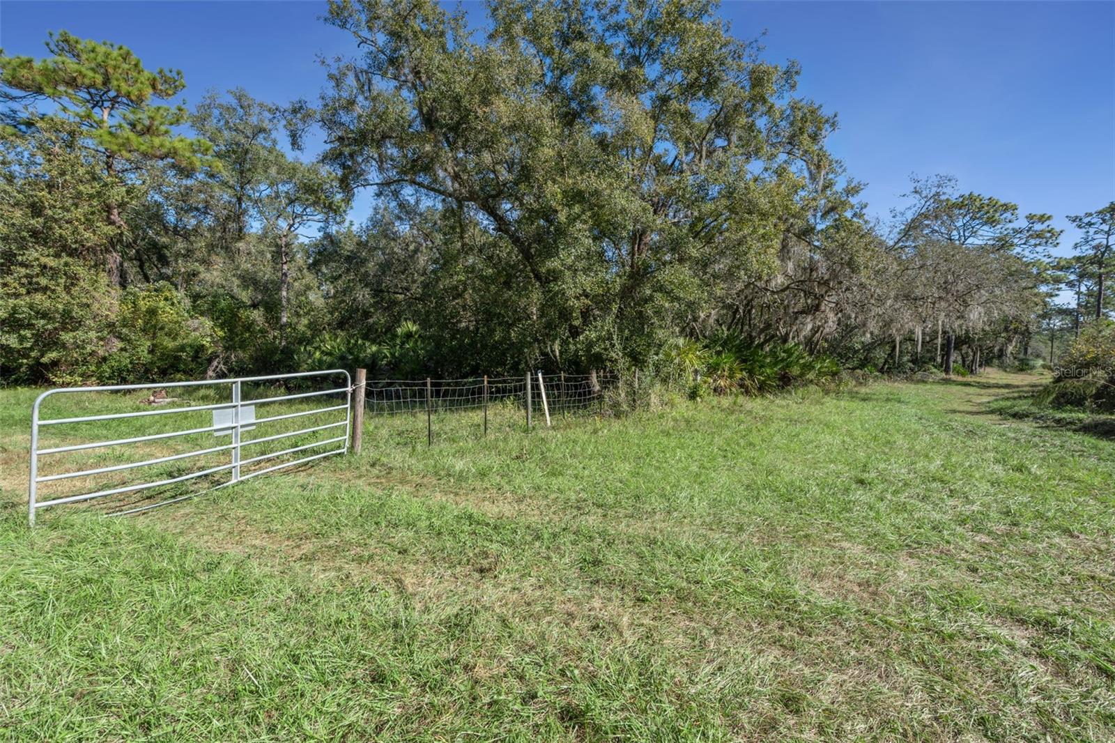 FAYE ST, APOPKA, FL — photo 21