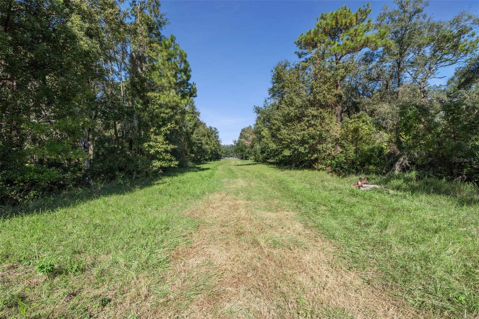 FAYE ST, APOPKA, FL — photo 22