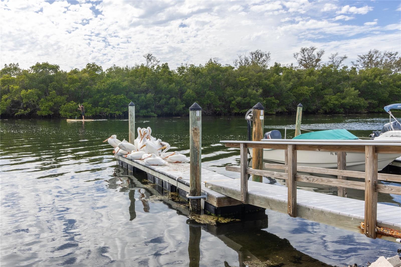 10315 CORTEZ RD W #19H, BRADENTON, FL — photo 38