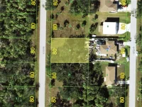 454 LEONA ST — photo 3