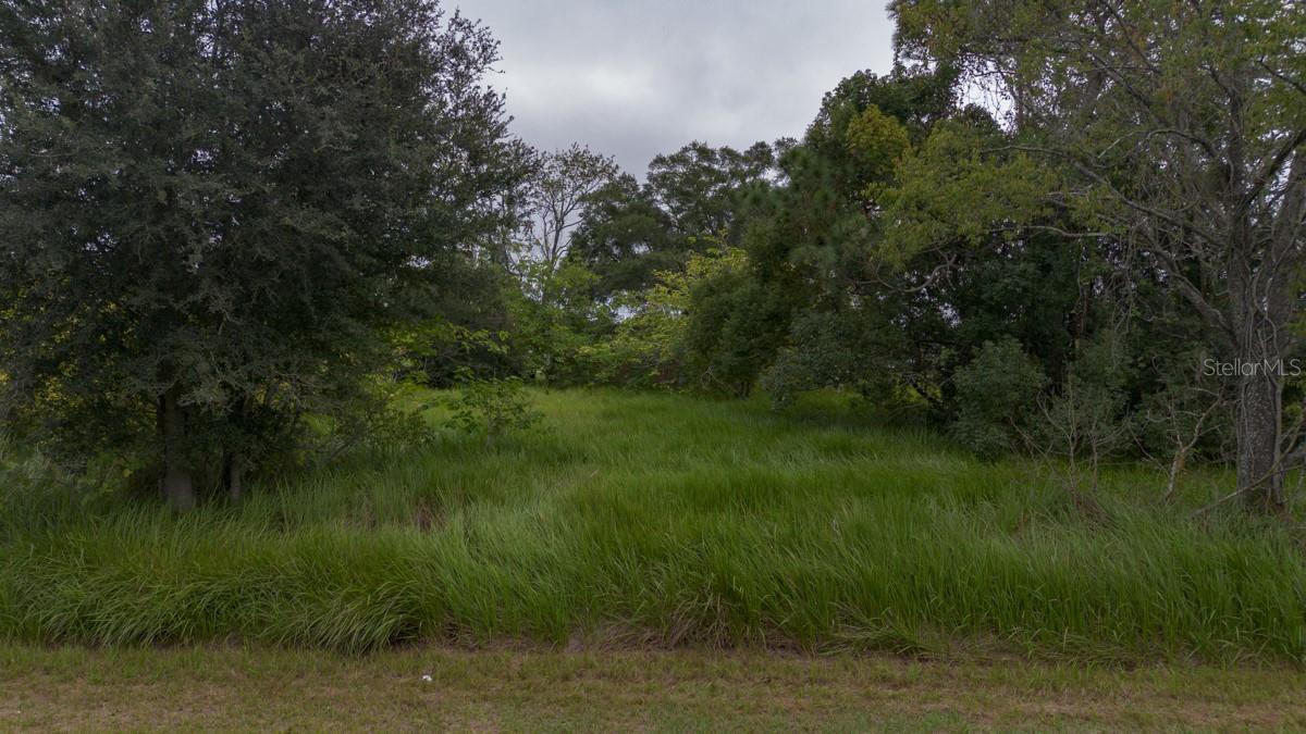 LAUREL CT, OCALA, FL