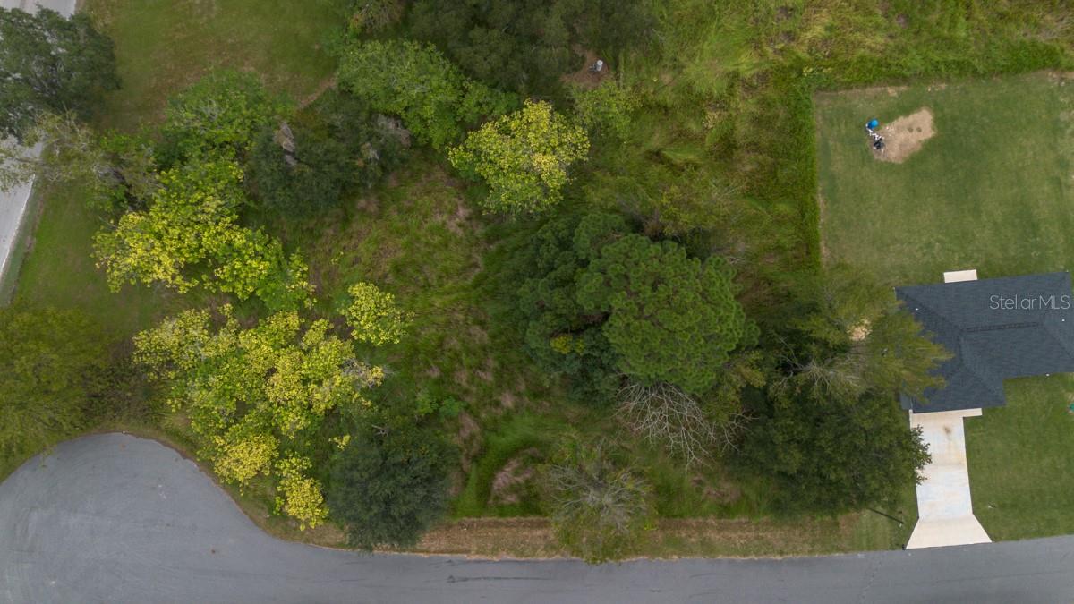 LAUREL CT, OCALA, FL — photo 8