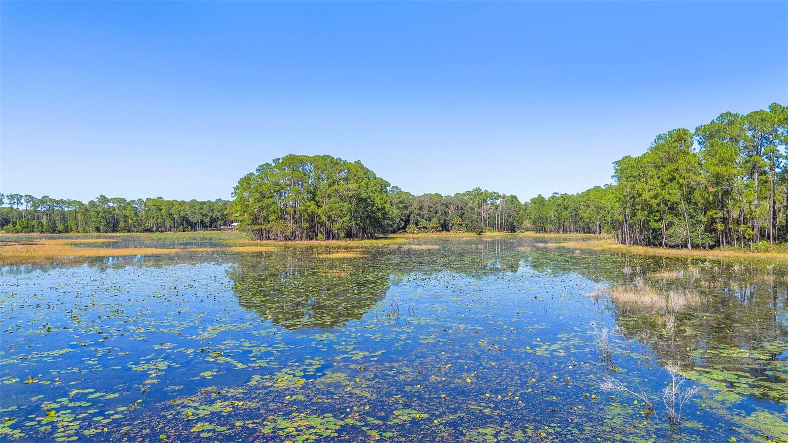DEEP WOODS RD, PAISLEY, FL — photo 11