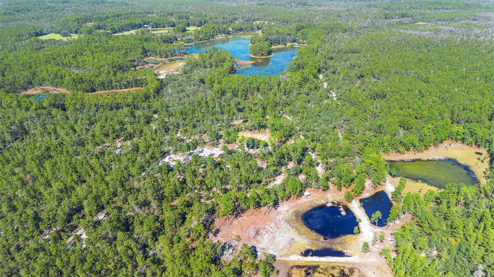 DEEP WOODS RD, PAISLEY, FL — photo 13