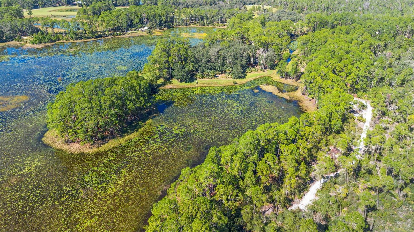 DEEP WOODS RD, PAISLEY, FL — photo 16