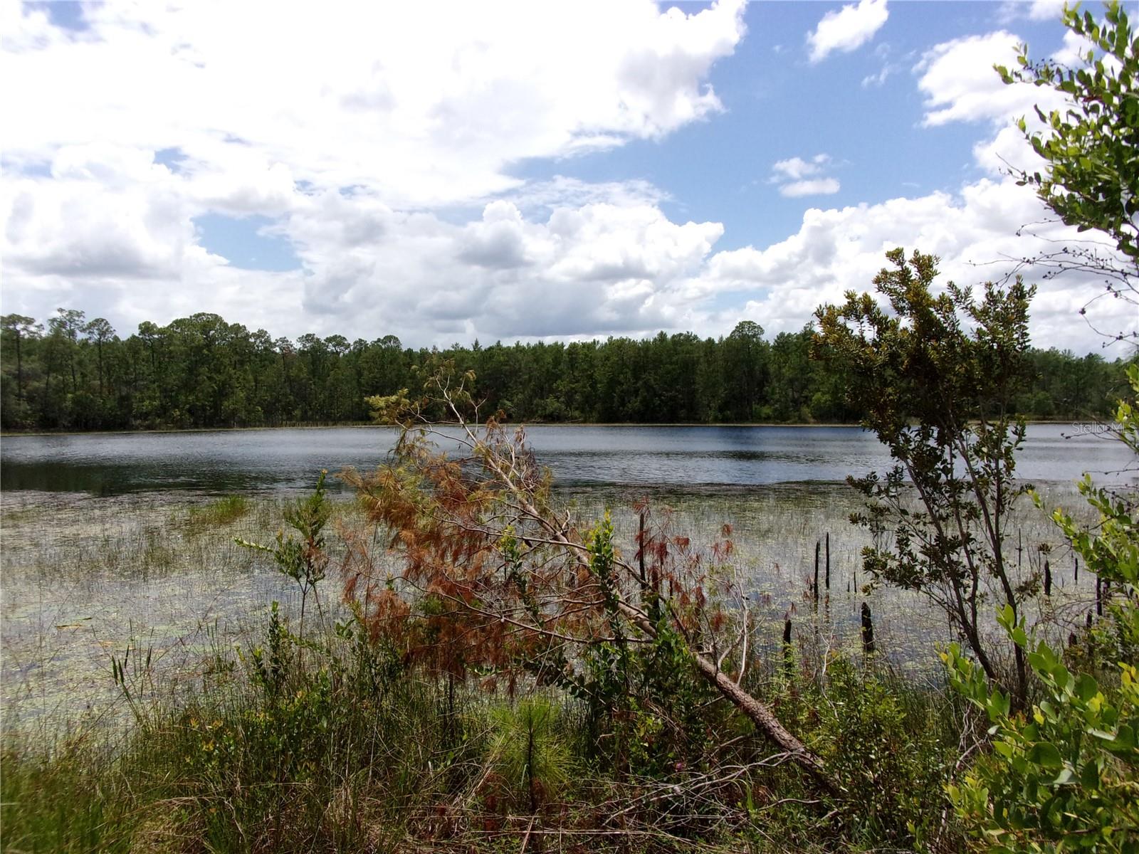 DEEP WOODS RD, PAISLEY, FL — photo 18
