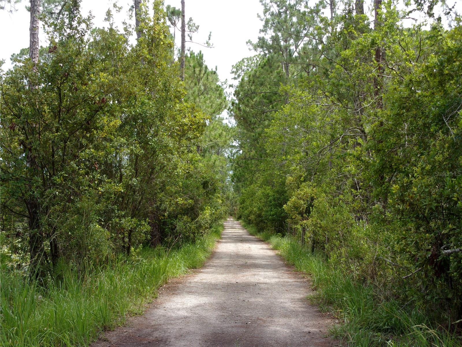 DEEP WOODS RD, PAISLEY, FL — photo 32