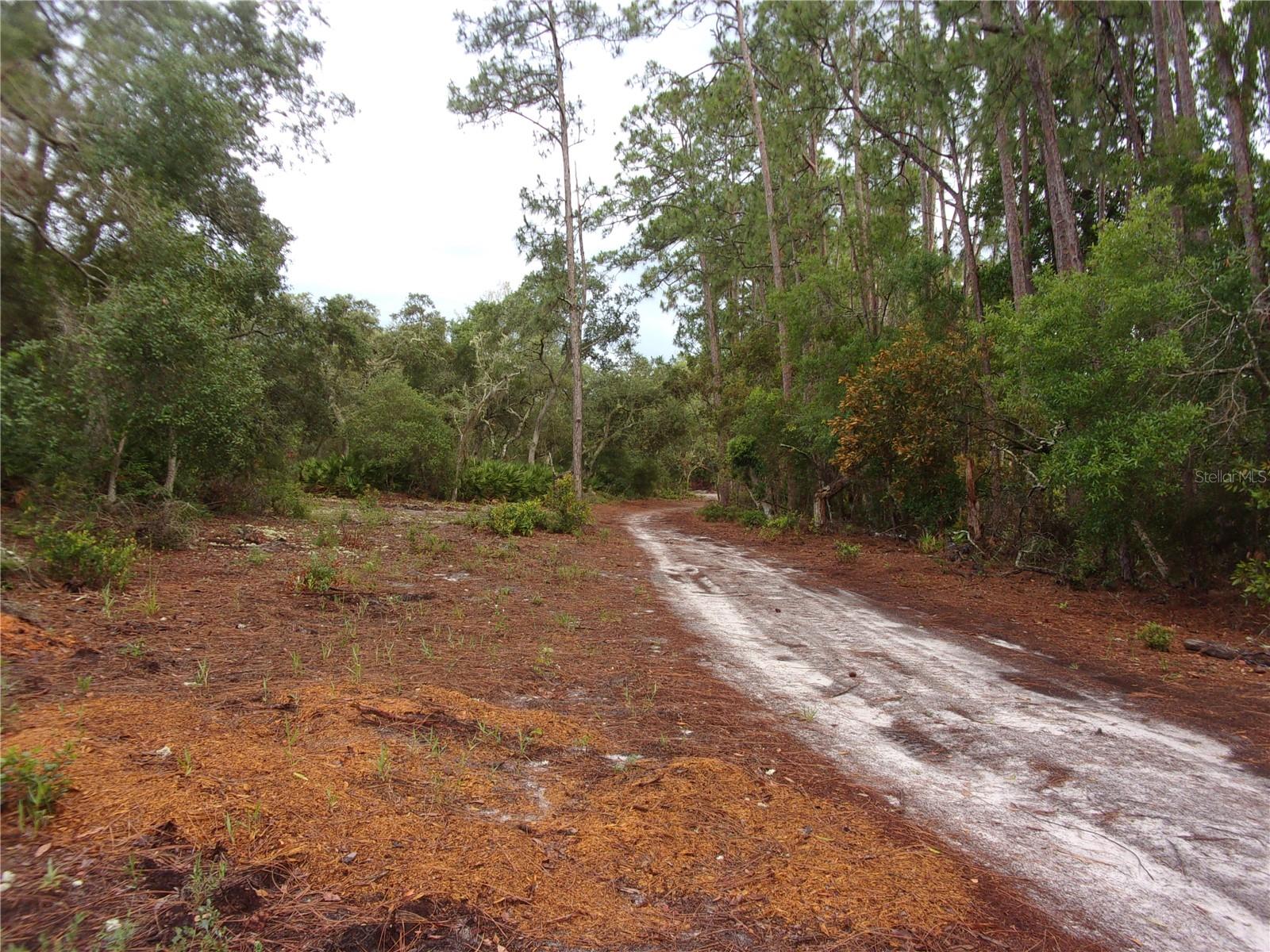 DEEP WOODS RD, PAISLEY, FL — photo 33