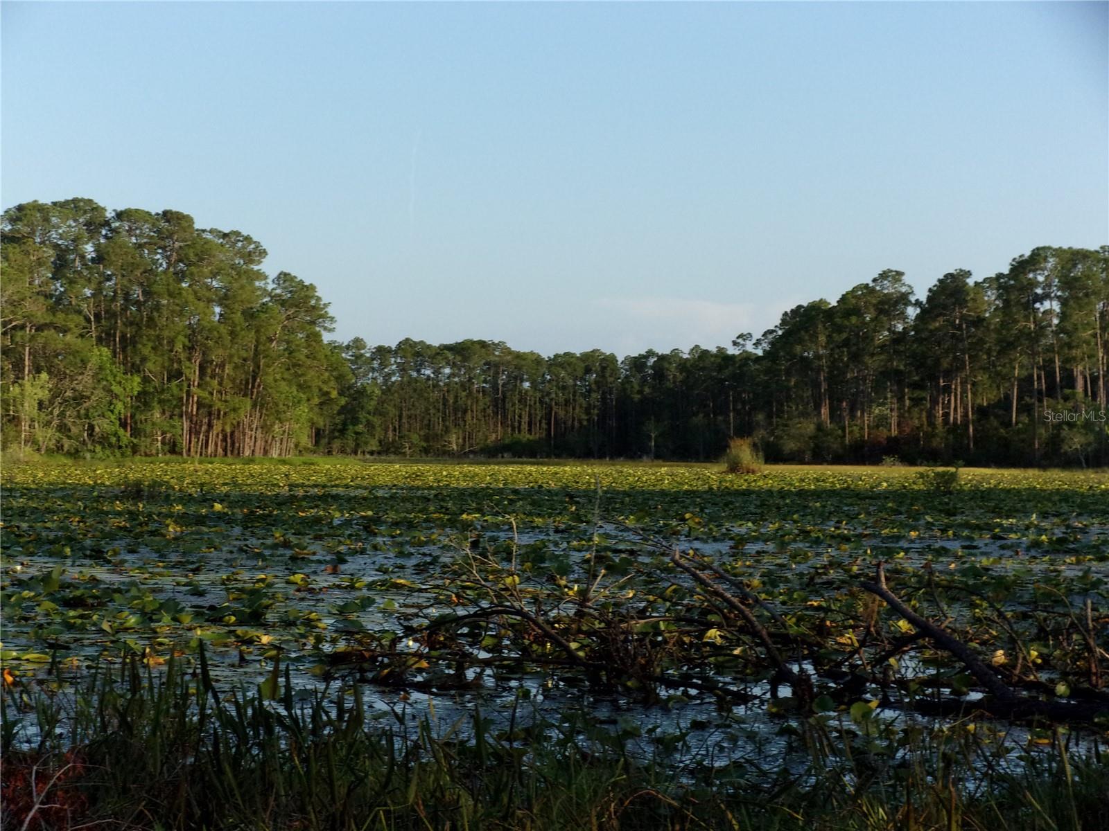 DEEP WOODS RD, PAISLEY, FL — photo 48