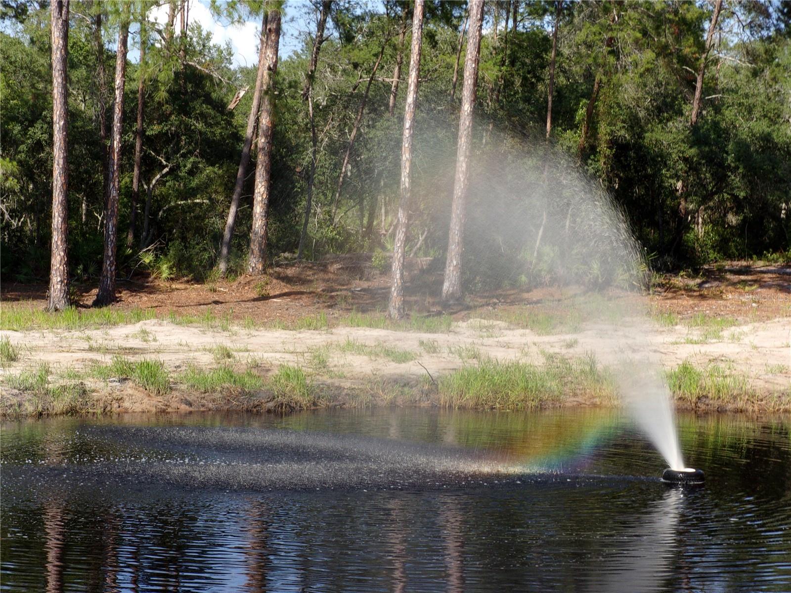 DEEP WOODS RD, PAISLEY, FL — photo 51