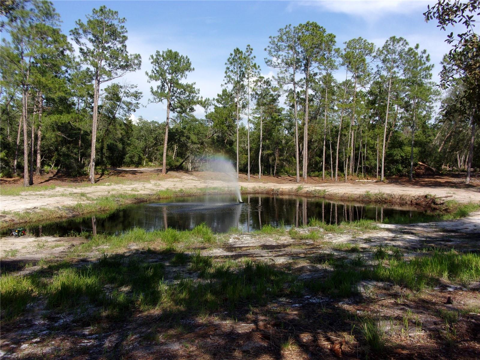 DEEP WOODS RD, PAISLEY, FL — photo 54