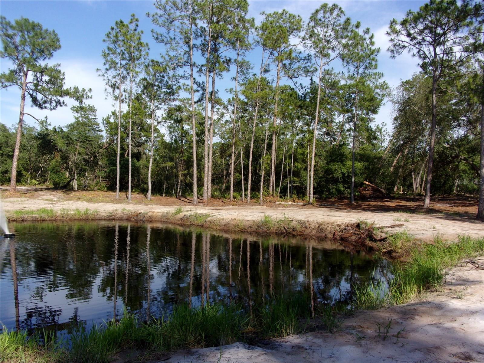 DEEP WOODS RD, PAISLEY, FL — photo 55