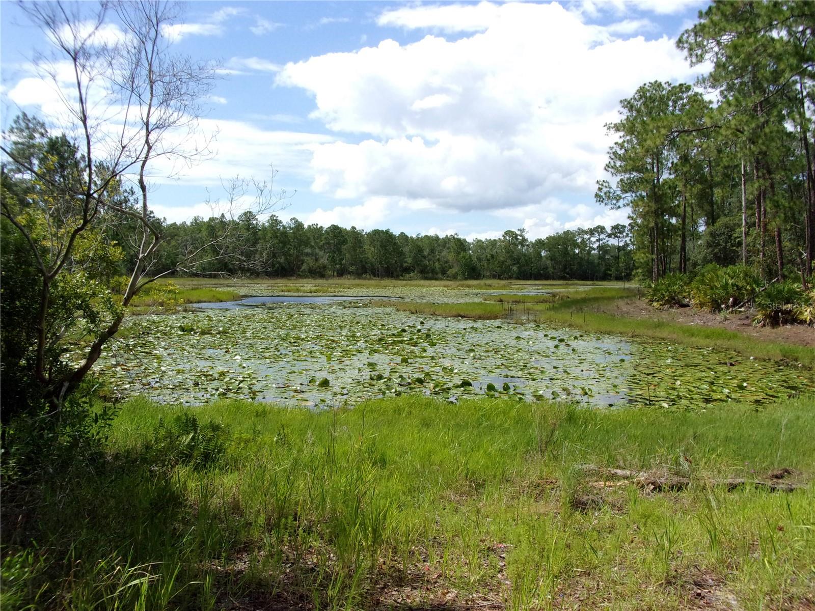 DEEP WOODS RD, PAISLEY, FL — photo 58