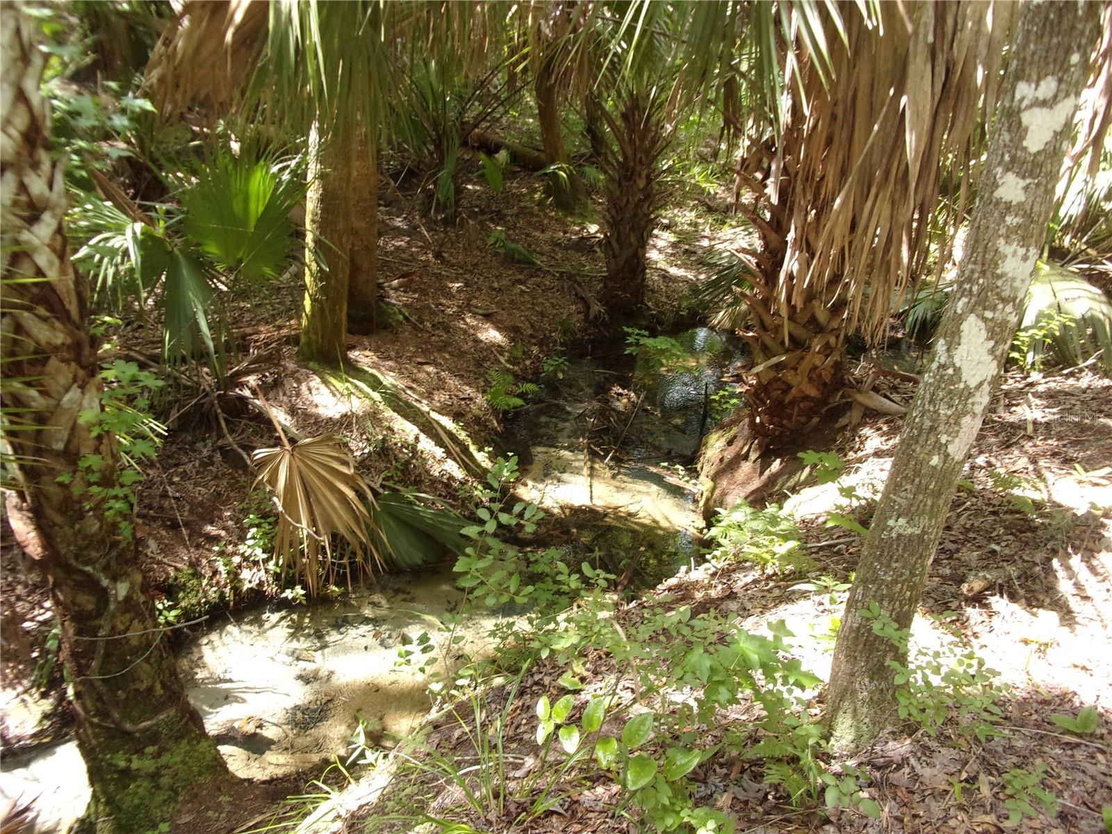DEEP WOODS RD, PAISLEY, FL — photo 60