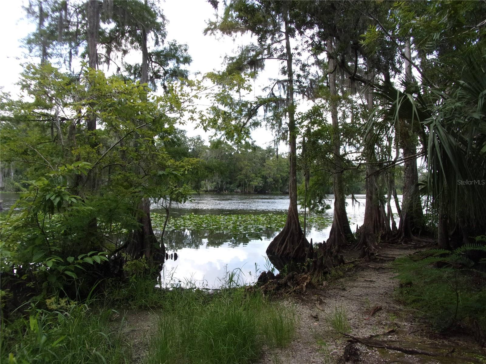 DEEP WOODS RD, PAISLEY, FL — photo 61