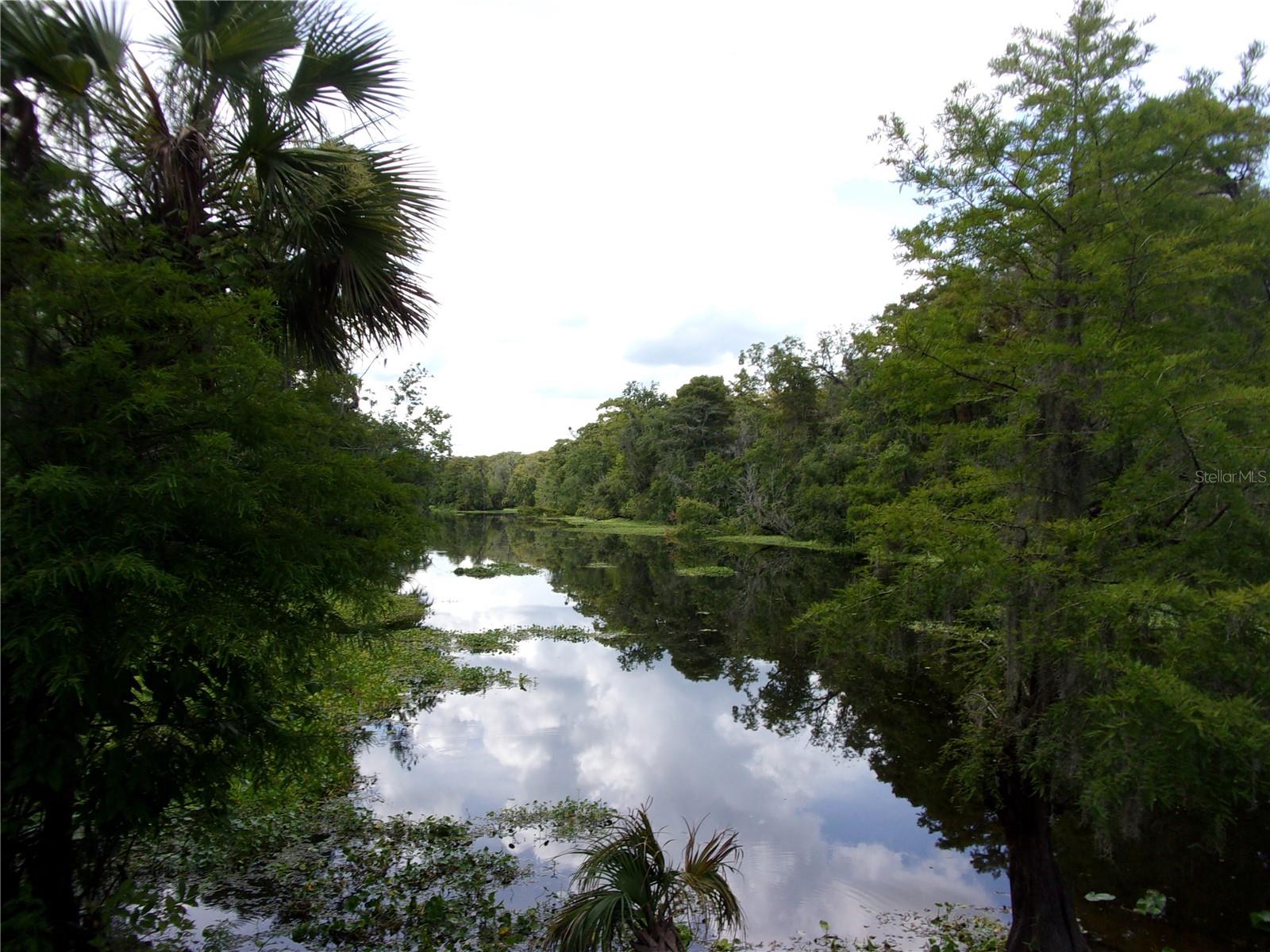 DEEP WOODS RD, PAISLEY, FL — photo 63