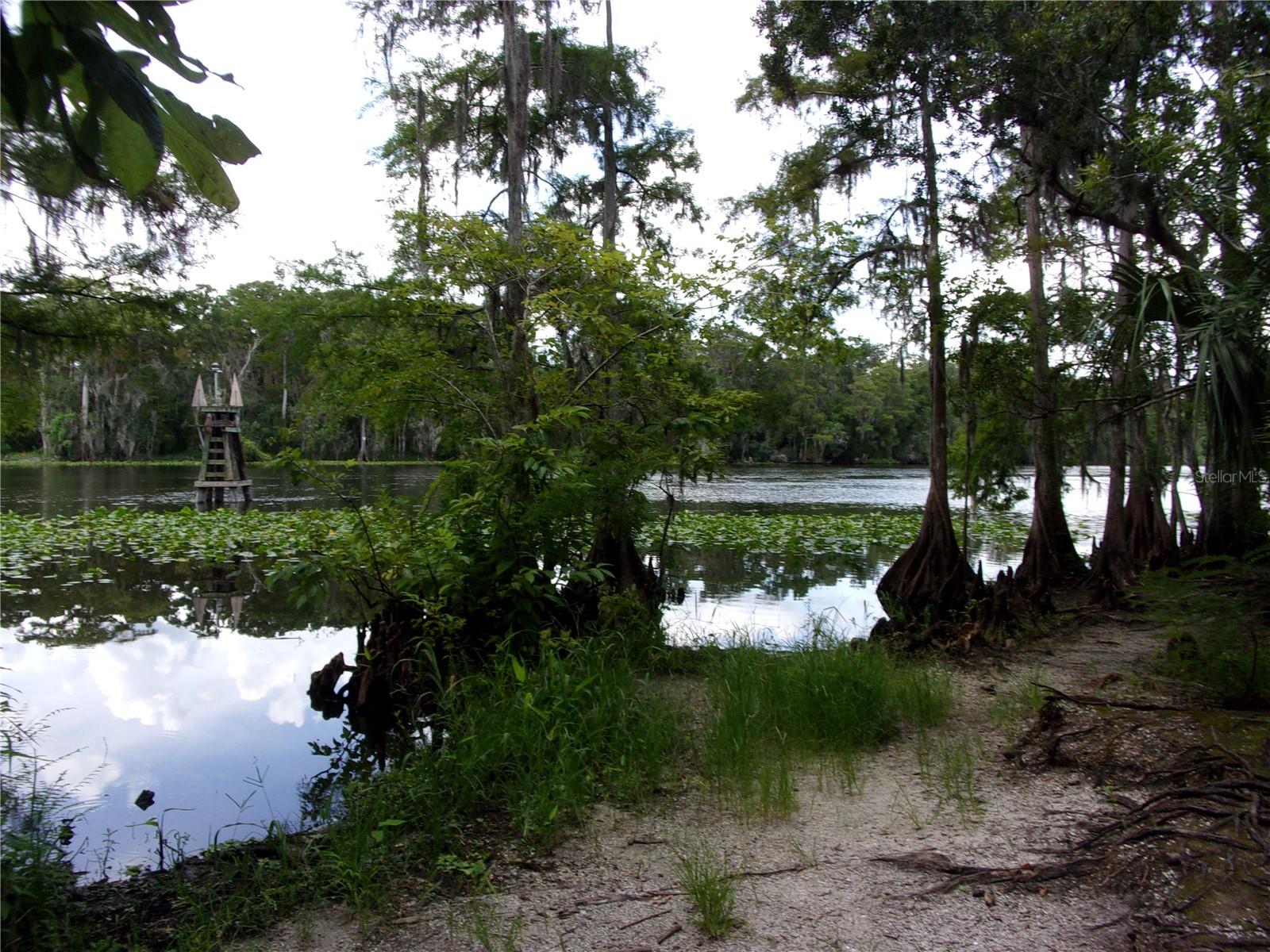 DEEP WOODS RD, PAISLEY, FL — photo 65