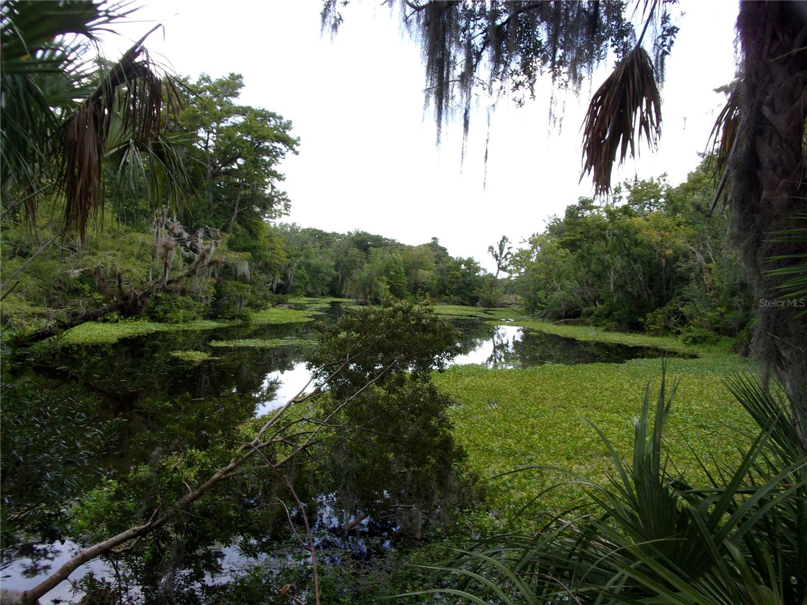 DEEP WOODS RD, PAISLEY, FL — photo 67