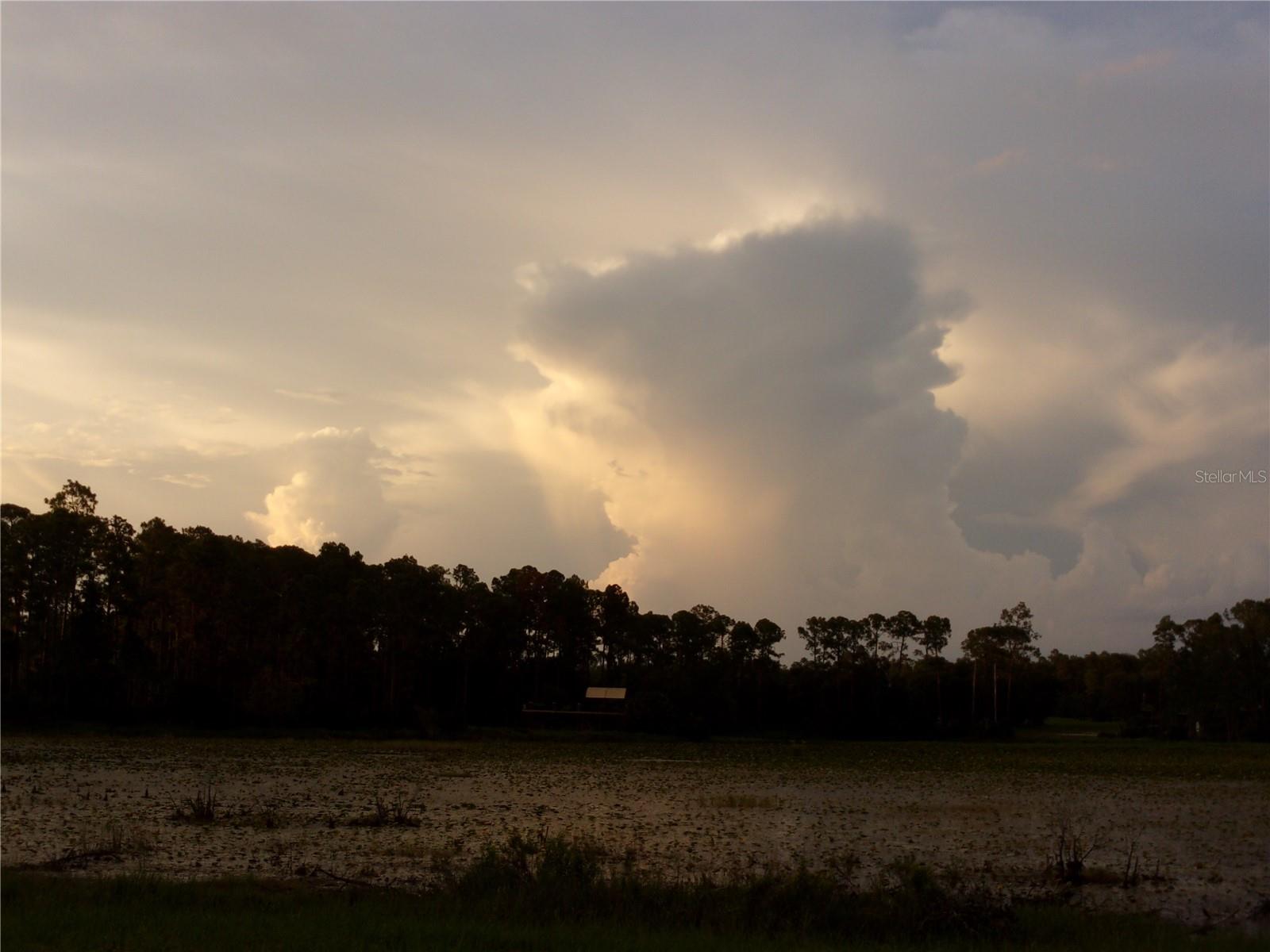 DEEP WOODS RD, PAISLEY, FL — photo 74